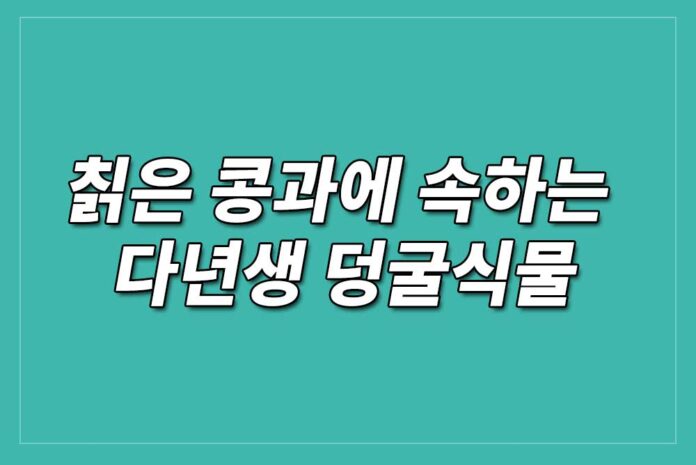 칡의-놀라운-건강-효능-관련-이미지